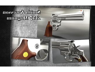 Smith Wesson Gun